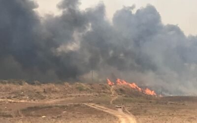 Reunión Nacional de Protección Civil en Baja California: Estrategias Contra Incendios Forestales